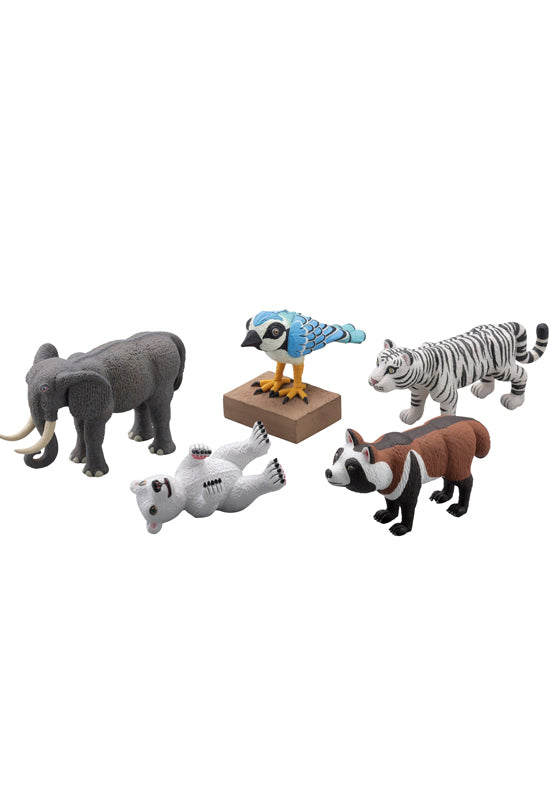 Takara Tomy Proof of Wild Gashapon Zoo Animal 6 Mini Collection