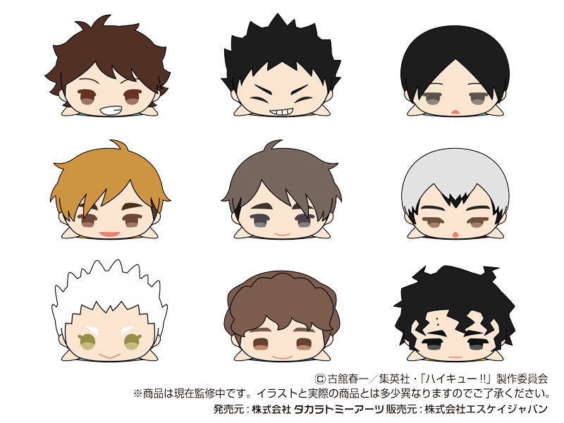 Haikyu!! Takaratomy Arts Mochimochi Mascot WA Vol.2