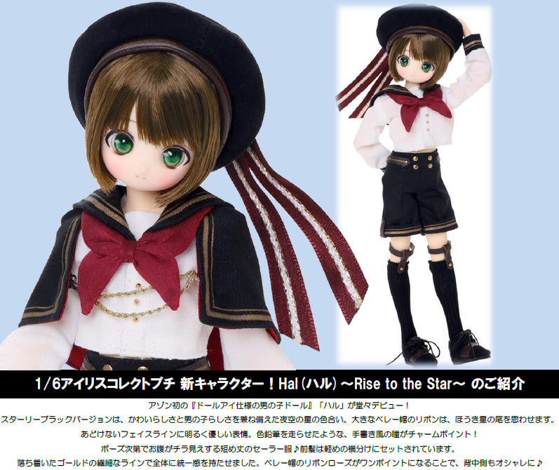 Iris Collect Petit Azone international 1/6 Hal -Rise to the Star- Starry black Ver.