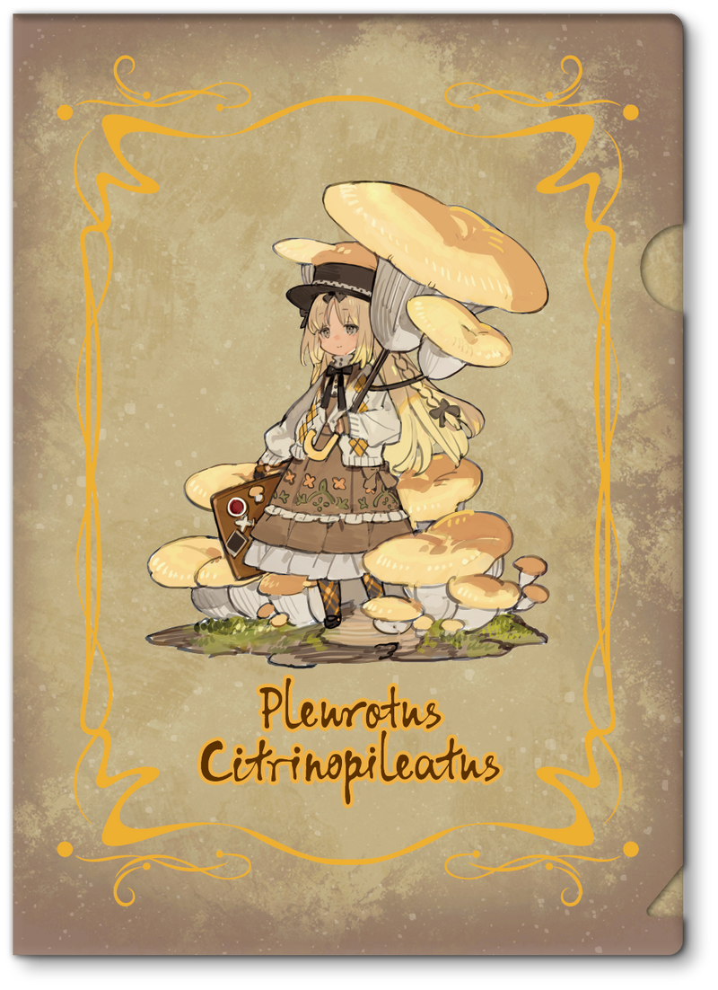 Mushroom Girls Series No.3 Reverse Studio Pleurotus Citrinopileatus