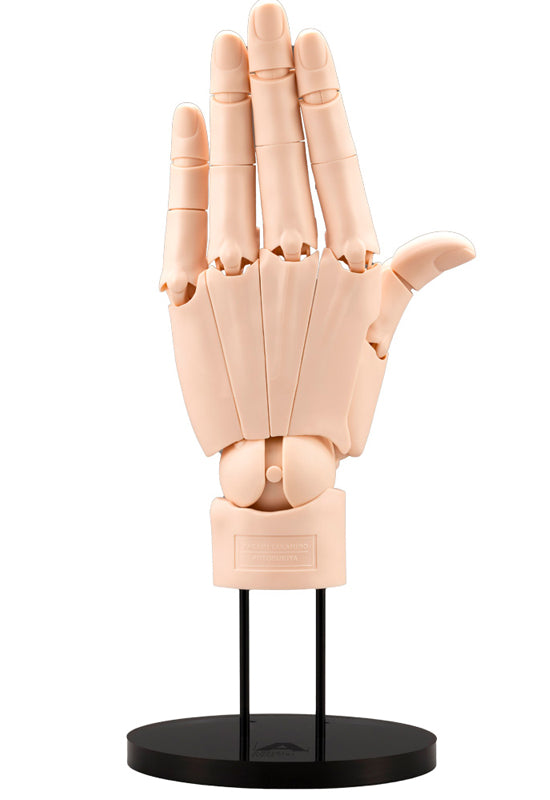 TAKAHIRO KAGAMI Kotobukiya Artist Support Item Hand Model/L -Pale Orange-