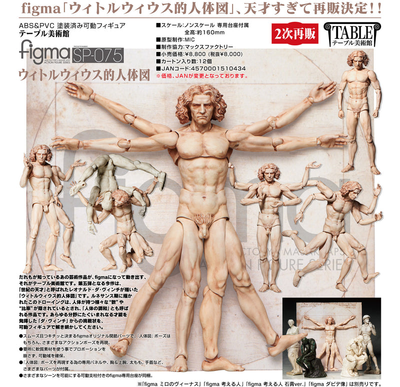 SP-075 The Table Museum figma Vitruvian Man (2nd re-run)