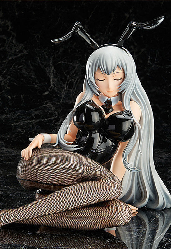 Ikkitousen: Extravaganza Epoch FREEing Choun Shiryu: Bunny Ver.