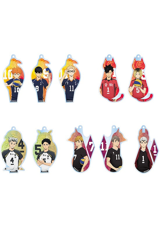 Haikyu!! Nippon Television Service Trading Acrylic Key Chain (1 Random)