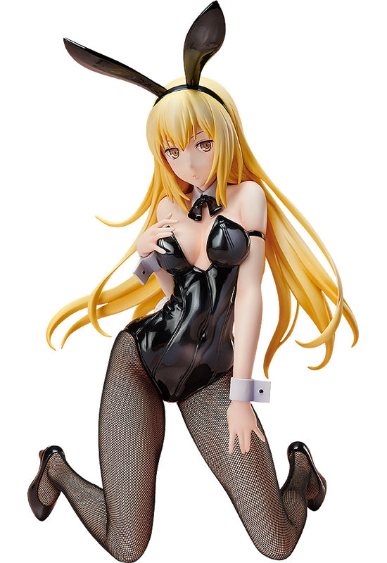 Is It Wrong to Try to Pick Up Girls in a Dungeon?: Sword Oratoria FREEing Ais Wallenstein: Bunny Ver.