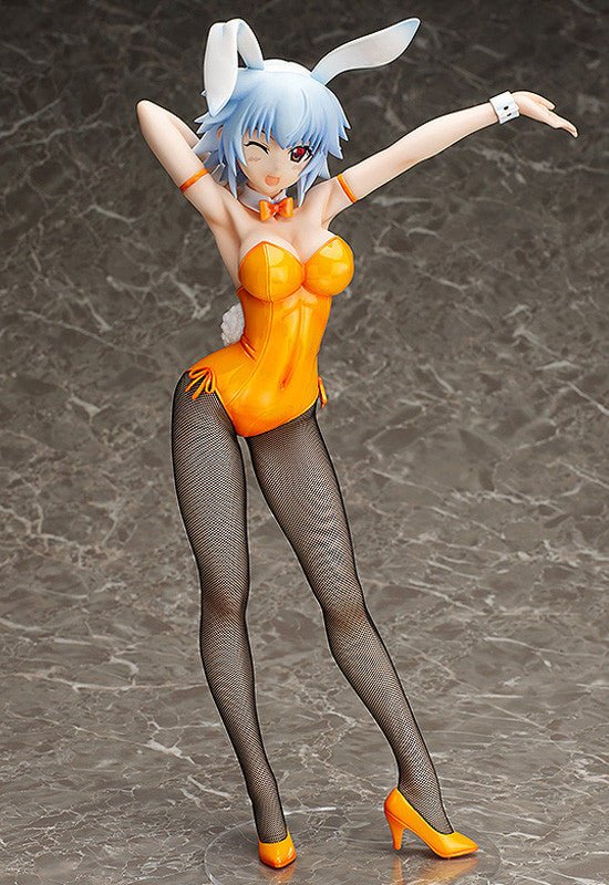 IS <Infinite Stratos> FREEing Tatenashi Sarashiki: Bunny Ver.